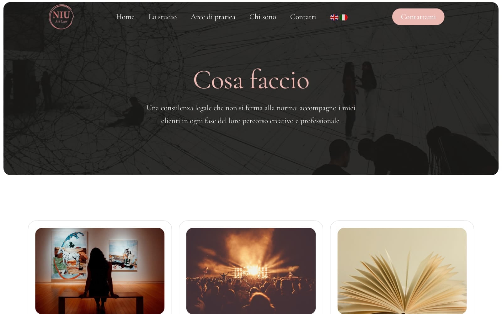 Pagina Aree di pratica del sito NIU Art Law
